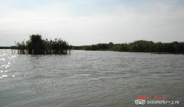 三角洲行动辅助网(三角洲行动辅助网哪个最好用?) 三角洲行动辅助网(三角洲行动辅助网哪个最好用?)